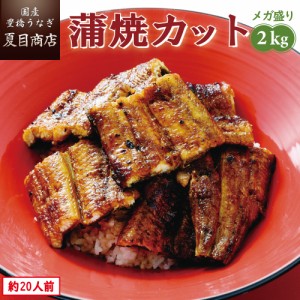 うなぎ 国産 蒲焼き カット2kg メガ盛り 1枚45-65g 個包装 豊橋うなぎ ウナギ 鰻 送料無料 お歳暮 クリスマス 誕生日 プレゼント 食べ物