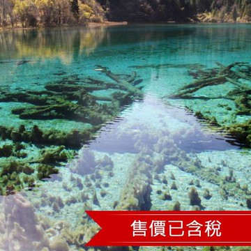 九寨溝.黃龍風景區.四姑娘山雙橋溝.理小路.熊貓樂園8日●無購物.無自費.VIP三排椅_26CTU8DCA1 文化交流