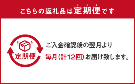  やまや 博多もつ鍋 こく味噌味 1～2人前