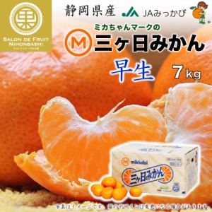 [予約 2023年 12月1日-12月10日の納品] 三ケ日みかん 早生 約 7kg 2Lサイズ 静岡県産 JAみっかび 早生 蜜柑 産地箱 冬ギフト お歳暮 御歳