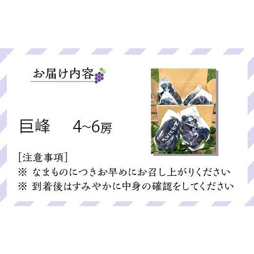 ふるさと納税 和歌山県 有田川町 先行予約 和歌山 有田産 巨峰 約2kg 4〜6房 ぶどう フルーツ 果物 