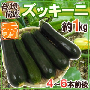 産地厳選 ”ズッキーニ” 秀品 4～6本前後 約1kg