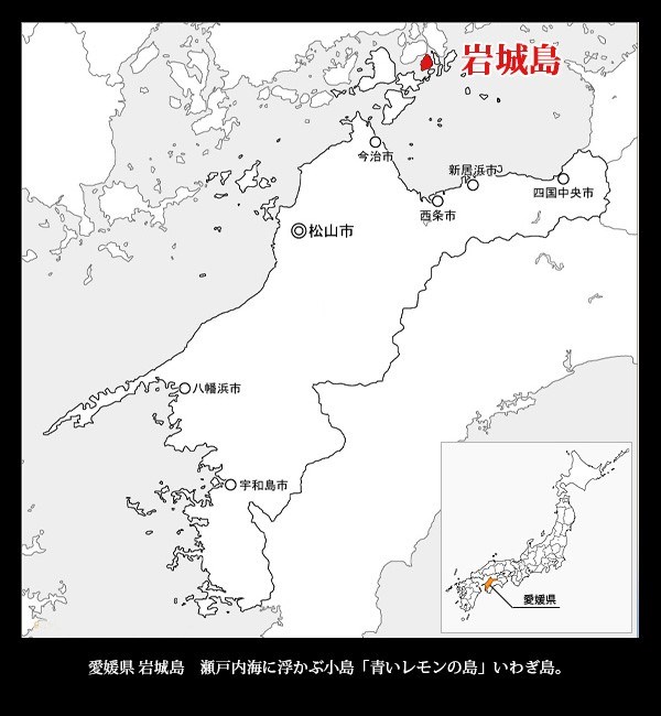 国産 レモン 整品 1kg 瀬戸内産 防腐剤やワックス不使用 愛媛 グルメ 一部地域 送料無料 1-3営業日以内発送