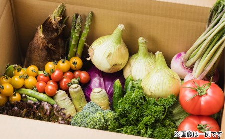 ほんまもん淡路島野菜BOX（大）