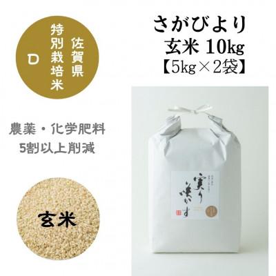 ふるさと納税 佐賀市 特別栽培米『さがびより』玄米10kg(5kg×2袋)