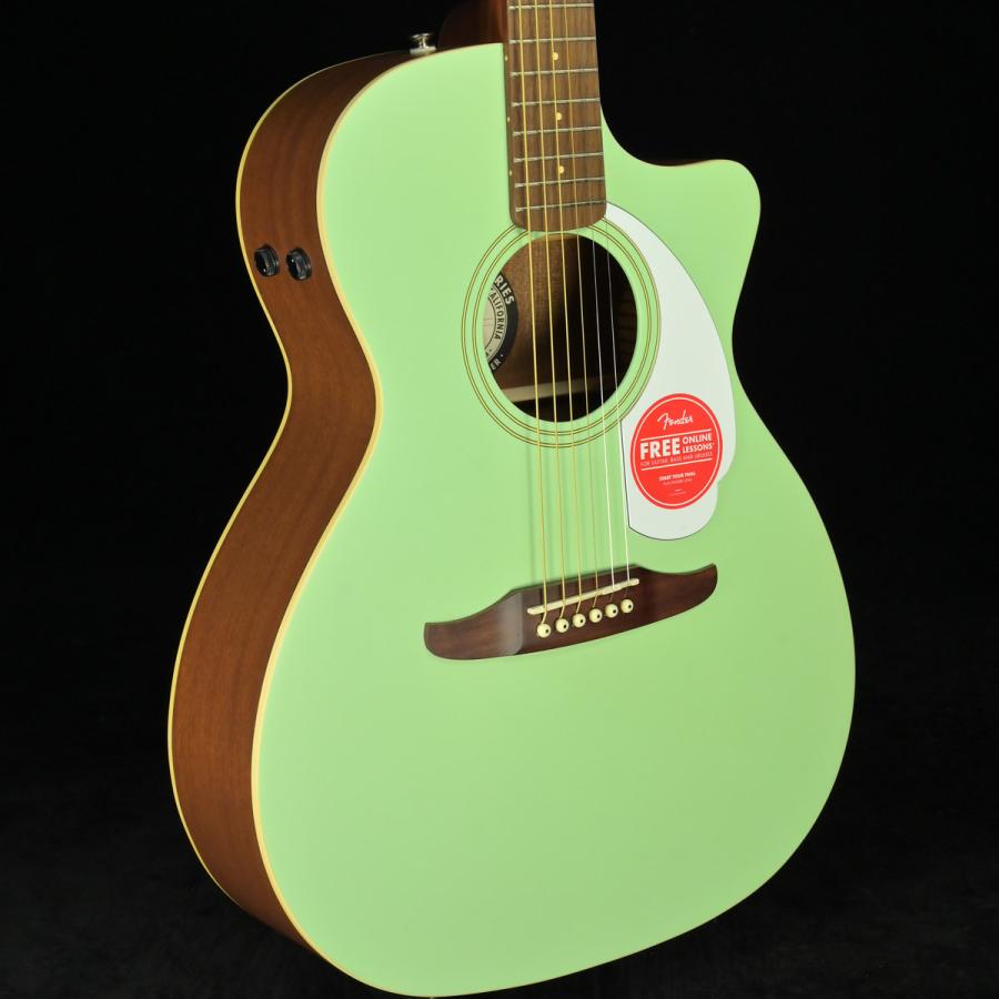 Fender   Newporter Player White Pickguard Surf Green Walnut(S N IWA2311908)(名古屋栄店)