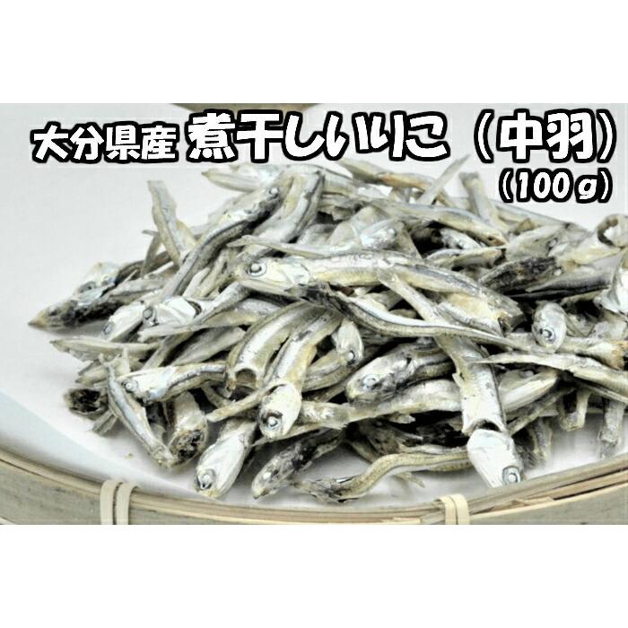 送料無料 ゆうパック 煮干し 中羽 100ｇ いりこ にぼし だし 出汁 だし用 出汁用