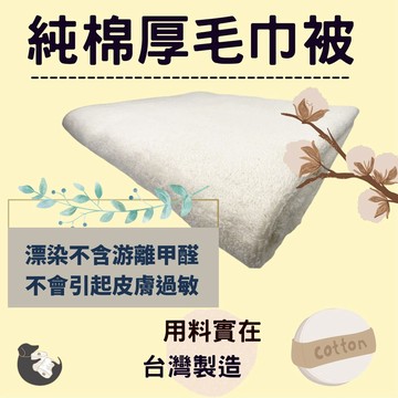 偉榮毛巾｜100%純棉 毛巾被 毛巾被 床巾 純棉毛巾被 毛巾布 無染毛巾被 厚毛巾被 美容大毛巾