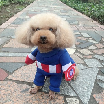 SassyDog 站立裝  14  隊長  1件