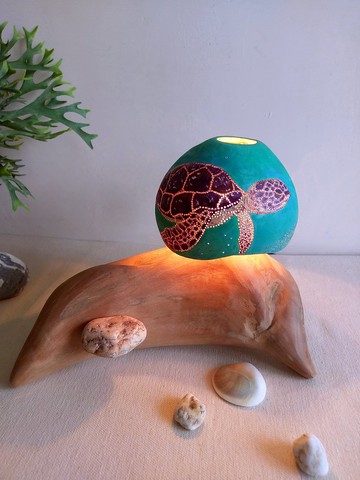 海龜的美麗與眼淚    大自然的一切最美!