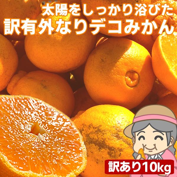 傷　みかん　フルーツ　くだもの　愛媛産　LINEショッピング　デコポン　農家さんもぐもぐ　10kg(+約0.5kg多め)　ご家庭用　外なり訳ありデコみかん　果物　でこぽん　不揃い