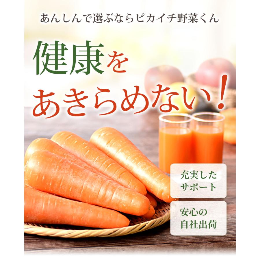 人参 無農薬人参 にんじん ジュース用 訳あり 8kg 国産 ニンジン にんじんジュース ゲルソン療法