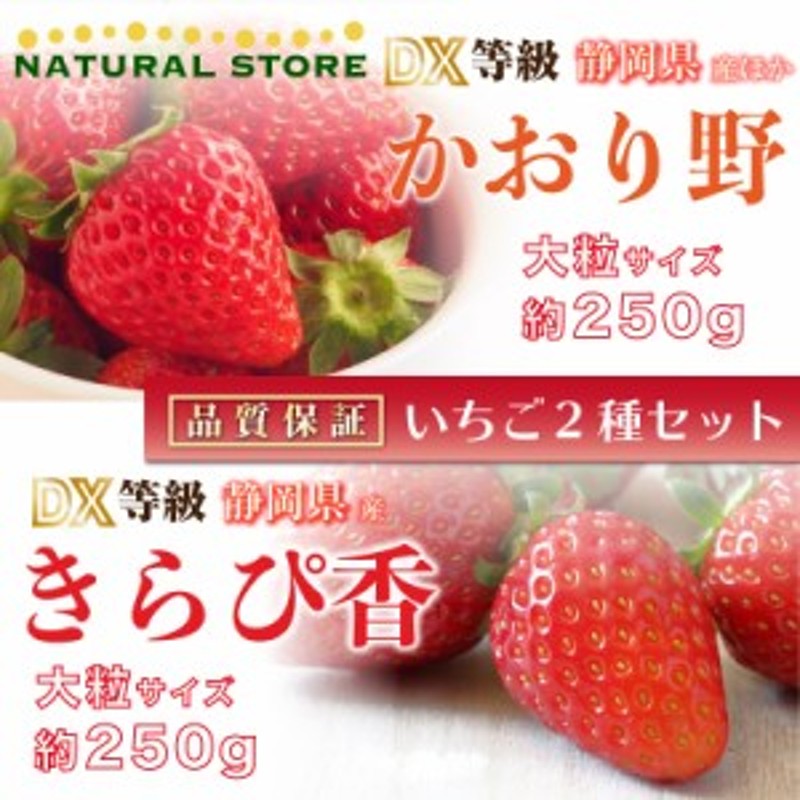 食べ比べ　約250g×　LINEショッピング　DX　予約　かおり野　遅れてごめんねバレンタイン　2024年2月15日-2月22日の納品]　きらぴ香　苺　×　大粒　いちご