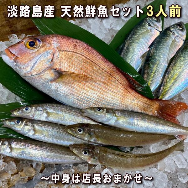 淡路島産天然鮮魚セット3人前