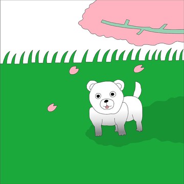 在草地上玩了一天的狗 超值包 博美犬