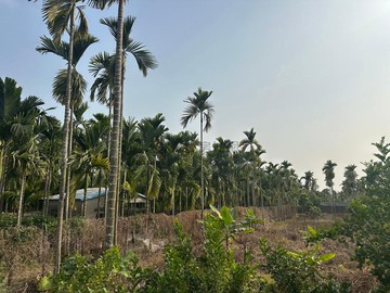 近竹田驛站美崙農地(P2)地形方正好規劃進出方便｜屏東縣竹田鄉美崙