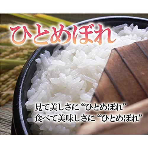 新米 ひとめぼれ 精米 20kg（10kg×2）会津産 令和5年産 お米