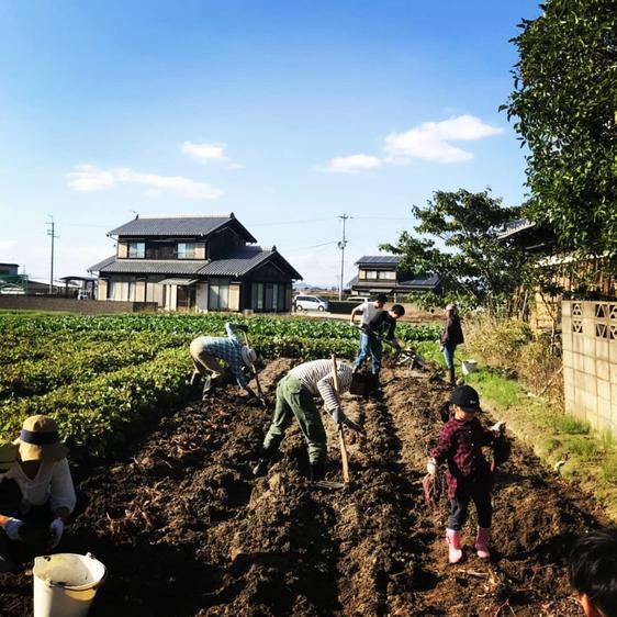 野菜 セット・詰め合わせ 今が食べ頃！農家”イチ推し″旬の野菜セット  産地直送