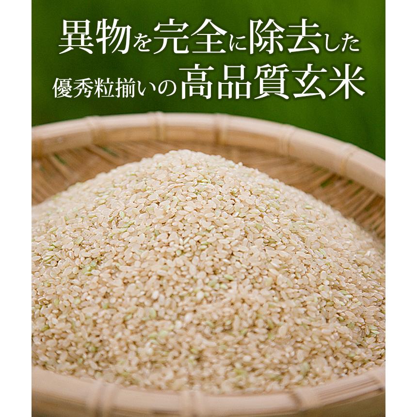 玄米 5kg 奥信濃キヌヒカリ 令和5年産 新米 長野県飯山