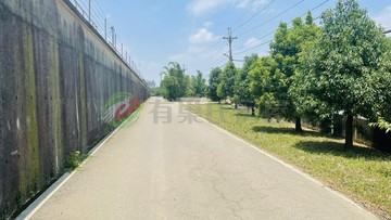 國際路旁都內美農地｜桃園市桃園區皮寮段