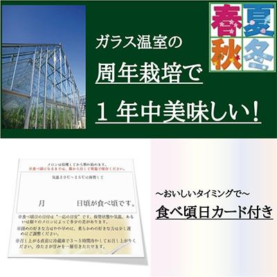 ふるさと納税 浜松市 クラウンメロン規格外大玉1玉・3ヵ月毎月お届け全3回