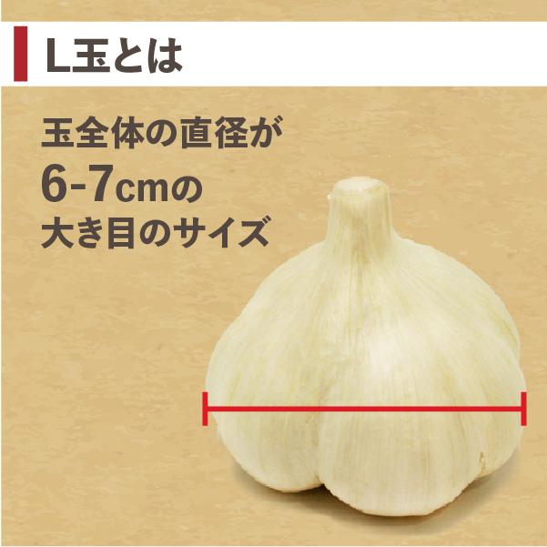 にんにく 青森 1kg 福地ホワイト ニンニク 新物 送料無料