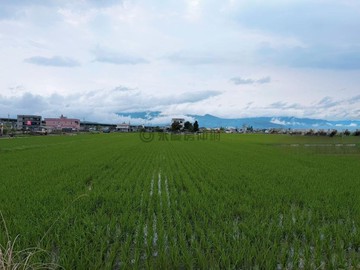 宜蘭市近國五大面寬足坪農地房仲小葉｜宜蘭縣宜蘭市新張段
