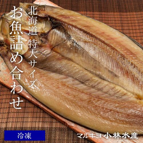 北海道産 特大サイズ お魚詰め合わせ