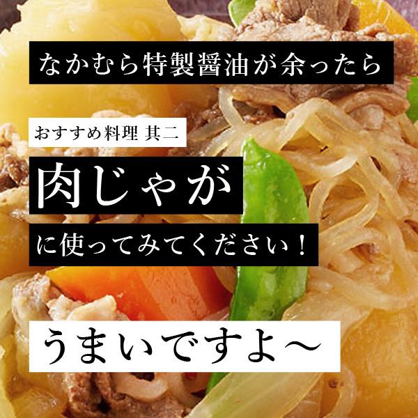 無添加★生うどんセット2パック(10玉分)★ つゆ＆醤油、お店の味再現マニュアル付きセット