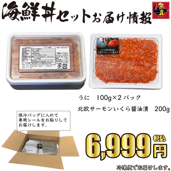 海鮮丼セット  うに いくら 冷凍 グルメ ウニ 雲丹  イクラ いくら醤油漬け 送料無料