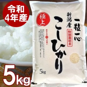 新潟産 こしひかり 白米 5kg 送料無料 厳しい基準をクリアした特別栽培米 新潟コシヒカリ お米 5キロ 減農薬・減化学肥料