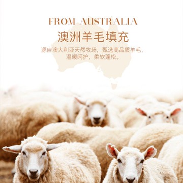 南極人羊毛被100純羊毛加厚保暖被子冬被棉被春秋被四季通用被芯