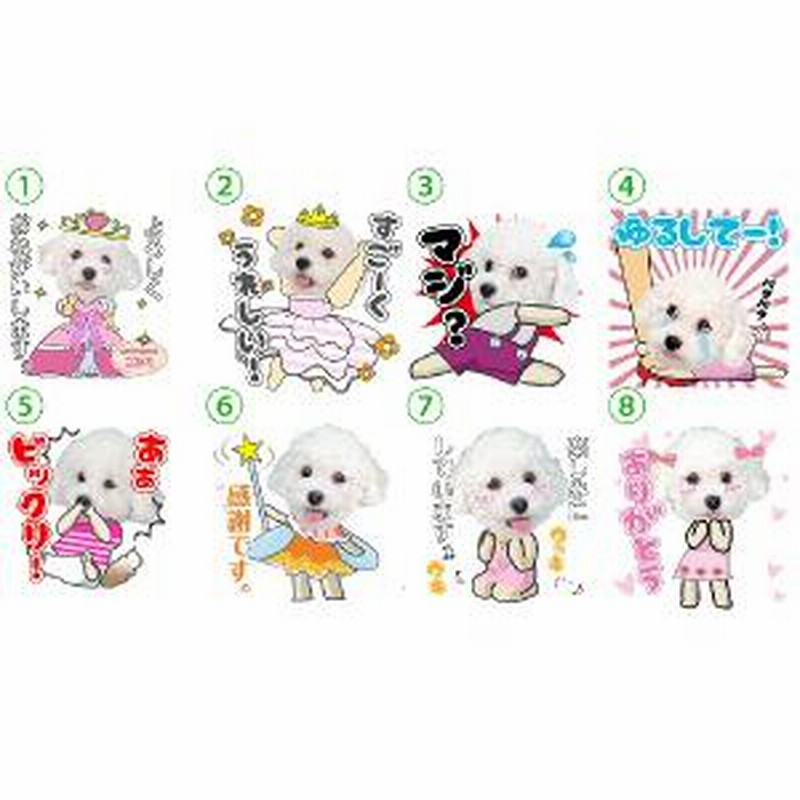 うちの子lineスタンプ 日常会話 女の子セット 写真でつくるオリジナルlineスタンプ 犬用 通販 Lineポイント最大7 0 Get Line ショッピング