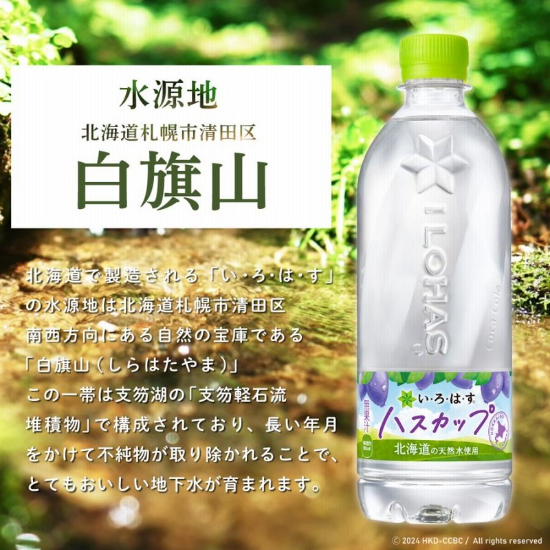 ○エントリーでさらにP10％付与 8/25まで○ 水 ウォーター