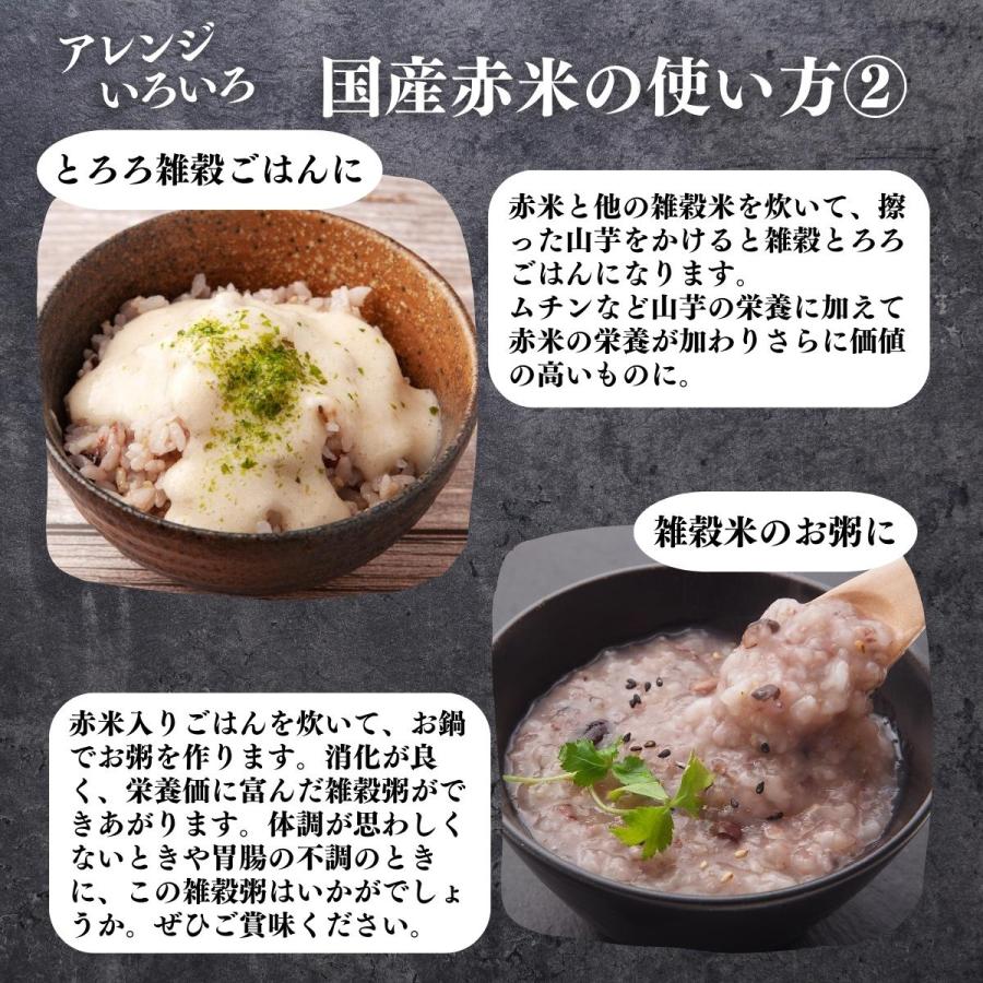 赤米 1kg×10個 国産 雑穀米 古代米 あかまい うるち米 玄米