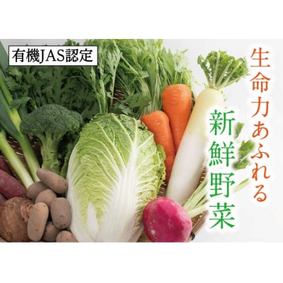 有機JAS認定 冬野菜とお米の詰め合わせセット