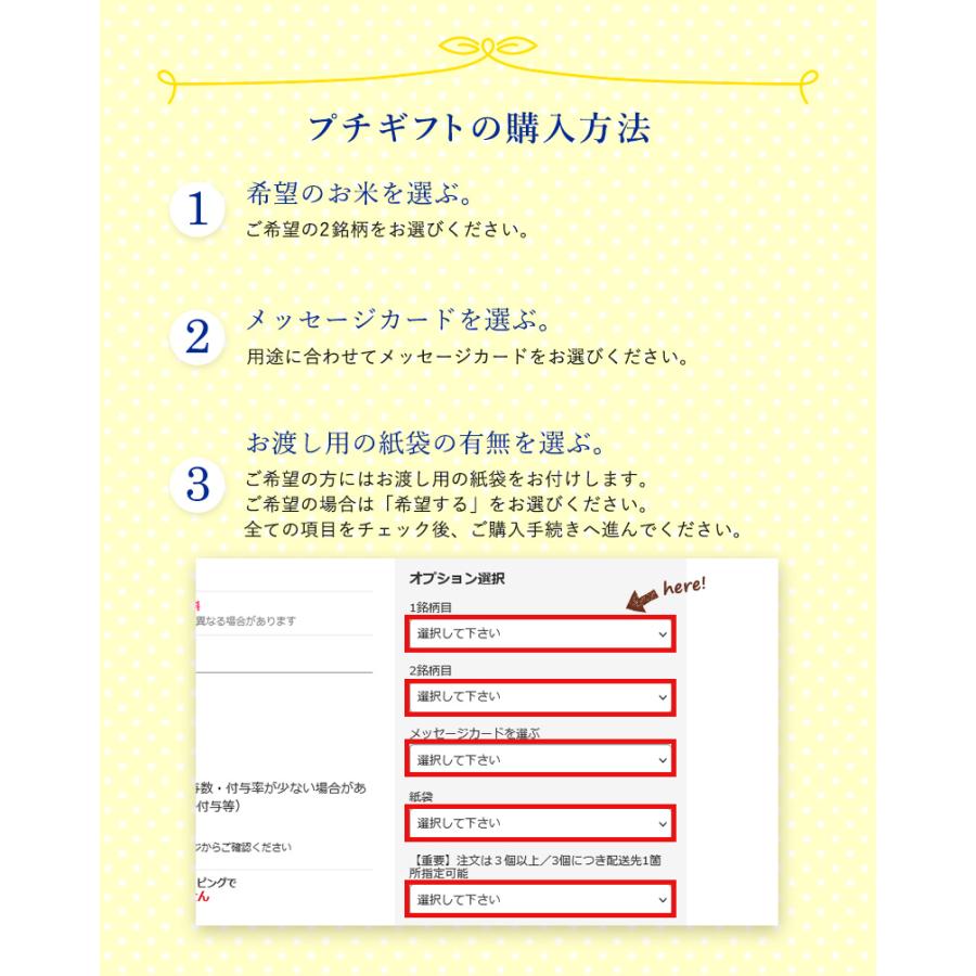 お米 ギフト 米 2合×2(300g×2) 黄色 2つ包み(2銘柄) 13銘柄から選べる 引っ越し挨拶ギフト お米のプチギフト 令和5年 お礼 ご挨拶 引越し 退職 景品 粗品