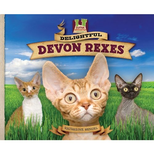 Delightful Devon Rexes (Cat Craze)