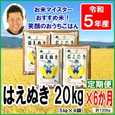 山形県産はえぬき20kg(5kg×4袋)全6回