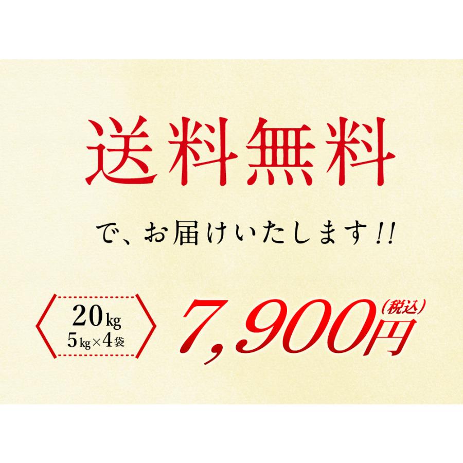 新米 三重県産 こしひかり 20kg（5kg×4袋） 送料無料  令和5年産 精米 お米 三重県産 20kg（北海道・沖縄別途送料）（配達日・時間指定は不可）