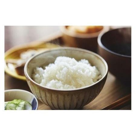 ふるさと納税 令和5年産 K-20 奈良のお米2種計20kg：冷めても美味しいヒノヒカリ10kg＋モチモチのにこまる10kg 奈良県奈良市