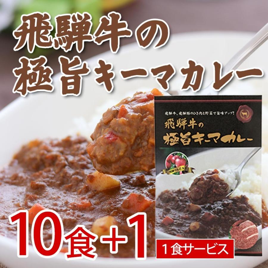 飛騨牛 極旨キーマカレー　10食セット＋１食サービス レトルト　まとめ買い