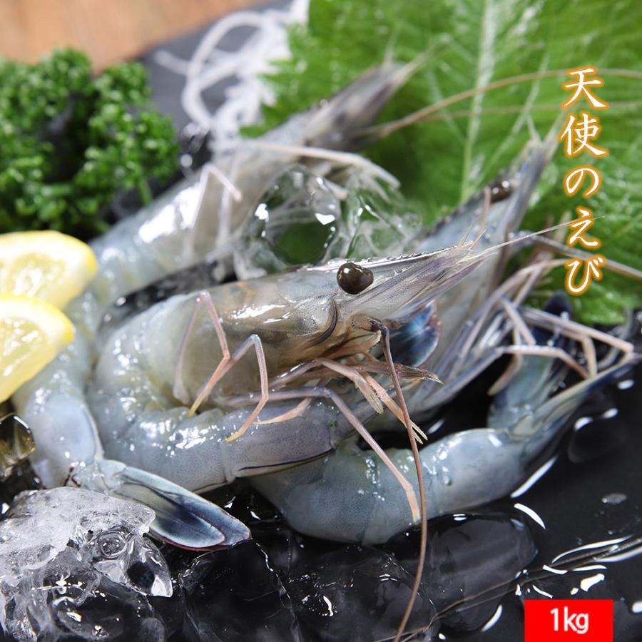 天使のえび 1kg 30 40サイズ（1kgに約30尾〜40尾入り）   えび エビ 海老 刺身 生食