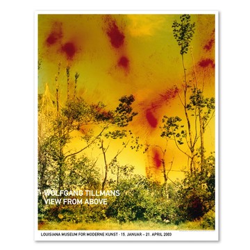 原版海報｜Wolfgang Tillmans：LICESTORM (2001) - 黑胡桃色鋁框