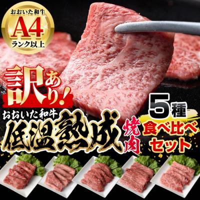 ふるさと納税 佐伯市 おおいた和牛 お試し 食べ比べ 焼肉 5種 セット (合計350g・70g×5種)