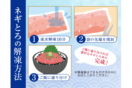 数量限定 訳あり 人気 ネギトロ 計1kg 魚 魚介 マグロ 国産 おかず まぐろ ねぎとろ アウトレット 送料無料_BB101-23