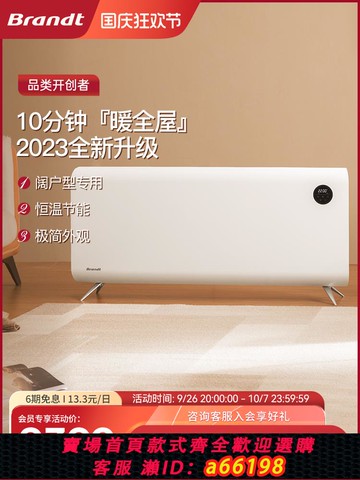 【台灣公司 可開發票】Brandt白朗取暖器家用節能石墨烯暖氣大面積2024新款取暖神器冬季