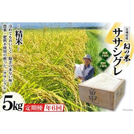 ふるさと納税 6回 定期便 希少品種米 ササシグレ 精米 5kg×6回 総計30kg   長沼 太一   宮城県 加美町 宮城県加美町