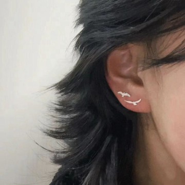 下殺價🔥「雁南飛」飛鳥的剪影小紅書同款養耳洞耳環新款海鷗耳骨釘耳飾女LWO0