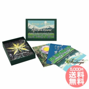 レンジオブライトアファメーションカード全48枚 日本語版 FESフラワーエッセンス その他